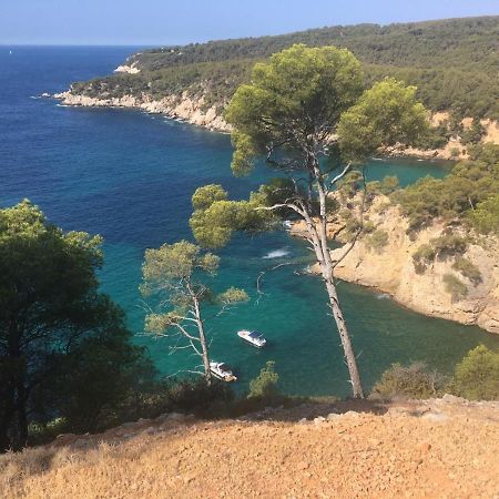 Sanary Sur Mer Appartement 30M2 T2 Avec Terrasse Piscine 10Min A Pied De La Plage Экстерьер фото